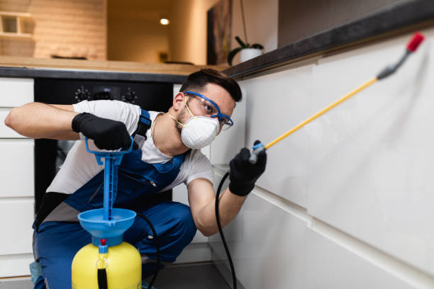 Best Affordable Exterminators  in Fairland, OK