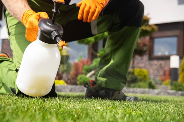 Best Affordable Pest Control Services  in Fairland, OK