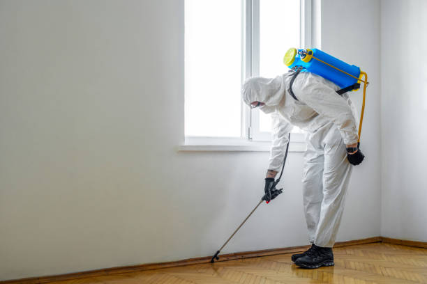 Best Residential Pest Control  in Fairland, OK